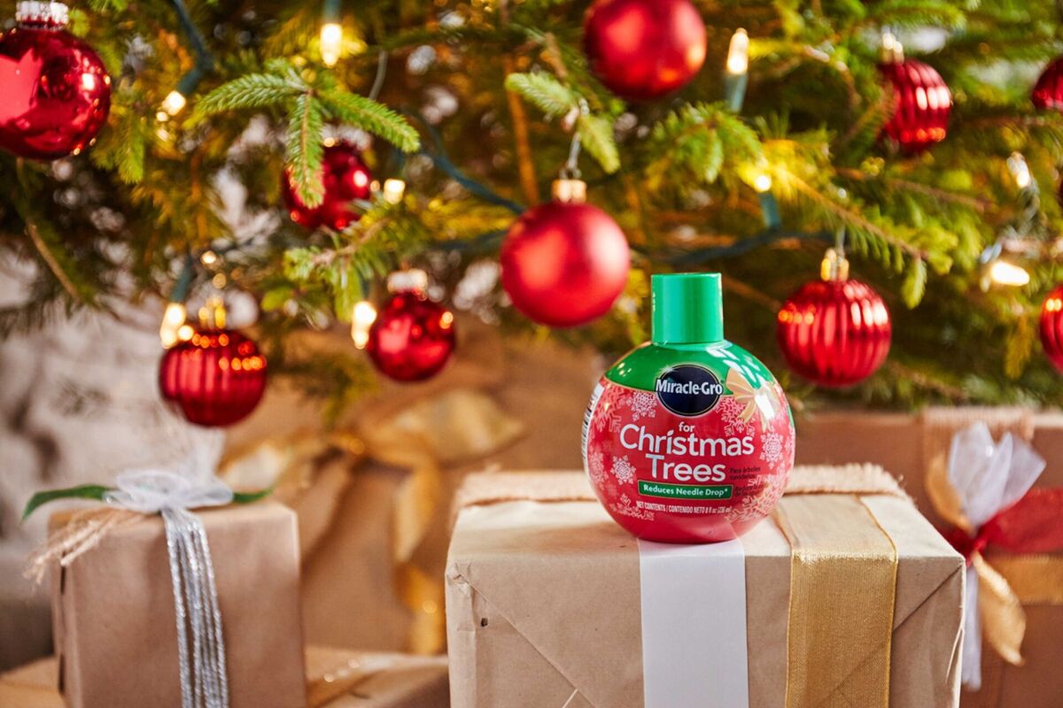 Miracle-Gro for Christmas Trees | The Storepaperoomates Retail Market - Fast Affordable Shopping
