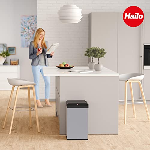 Hailo Big Box Swing Waste Bin in Silver 35 Liters | The Storepaperoomates Retail Market - Fast Affordable Shopping