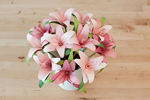Cricut 3D Floral Home Decor Cartridge | The Storepaperoomates Retail Market - Fast Affordable Shopping