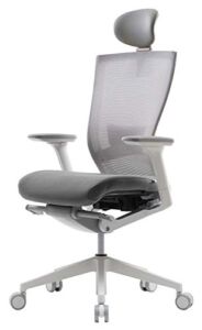 SIDIZ T50 Ergonomic Home Office Chair : High Performance, Adjustable Headrest, 2-Way Lumbar Support, 3-Way Armrest, Forward Tilt, Adjustable Seat Depth, Ventilated Mesh Back, Cushion Seat (Gray)