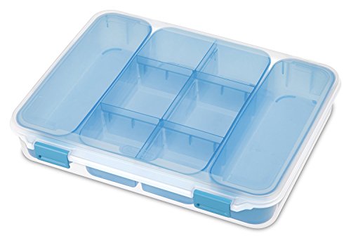 STERILITE 14028606 See-Through Divided Cases Aquarium Latches and Freshwater Tint Trays, Blue | The Storepaperoomates Retail Market - Fast Affordable Shopping