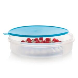 Tupperware Brand 12-Inch Round Food Storage Container + Lid- Dishwasher & Freezer Safe – BPA Free – Perfect for Pies, Quiches & Pizzas – Airtight & Leak Proof