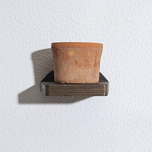 Freezing point Set of 2 Natural Wood 5Inch Small Wall Shelf Mini Floating Shelves for Wall Decor Plant Display Collectibles Mounted Kitchen Bathroom Bedroom Corner Decorative Storage Tiny Stand | The Storepaperoomates Retail Market - Fast Affordable Shopping