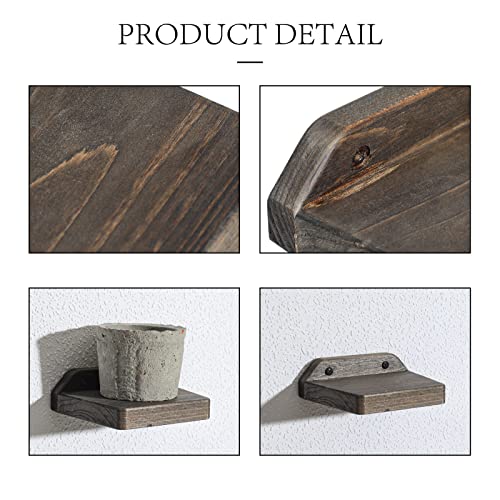 Freezing point Set of 2 Natural Wood 5Inch Small Wall Shelf Mini Floating Shelves for Wall Decor Plant Display Collectibles Mounted Kitchen Bathroom Bedroom Corner Decorative Storage Tiny Stand | The Storepaperoomates Retail Market - Fast Affordable Shopping