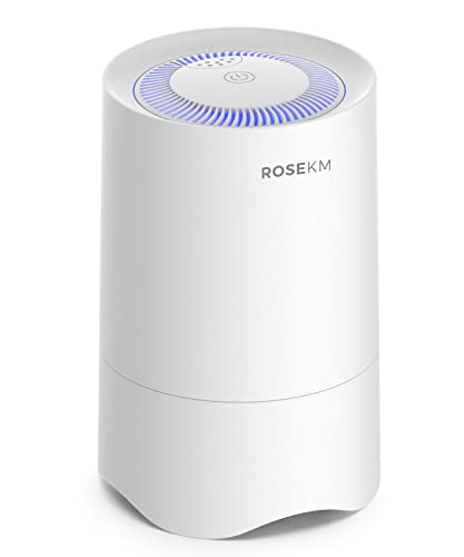 Rosekm Small Air Purifier for Home Bedroom, Personal Desk Mini Air Purifier, Room Hepa Air Purifier Fresheners Cleaner for Pets, Smoke, Desktop, Office (White) | The Storepaperoomates Retail Market - Fast Affordable Shopping