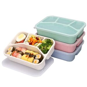 Ylebs 4 Pack Bento Lunch Box Reusable 4 Compartment Lunch Containers for Kids,BPA Free Plastic Divided Food Meal Prep Containers,Schools,Work and Travel