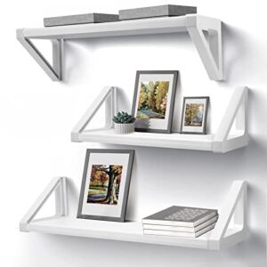 Floating Shelves Wall-Mounted 3-Piece Set for Living Room/Bedroom/Bathroom/Kitchen/Room Storage and Decorative Steel Wall-Mounted Shelf (White)