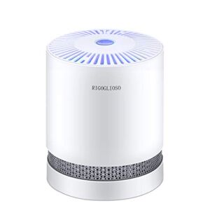 RIGOGLIOSO Air Purifier for Home with True HEPA Filters,Low Noise Portable Air Purifiers with Night Light,Desktop USB Air Cleaner
