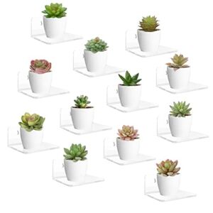 12 Pack Small Acrylic Floating Wall Shelves with Adhesive Tape and Screw, LASZOLA Wall Mounted Adhesive Display Shelf Clear Acrylic Display Stand for Plants Amiibo Funko POP Figures Bathroom