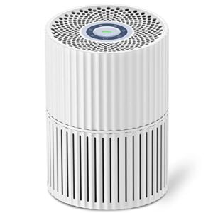 Air Purifiers for Home Large Room up to 800ft², Ganiza H13 True HEPA air purifiers for Bedroom Pets Hair Dander with Night Light, Sleep Mode, Child Lock A10