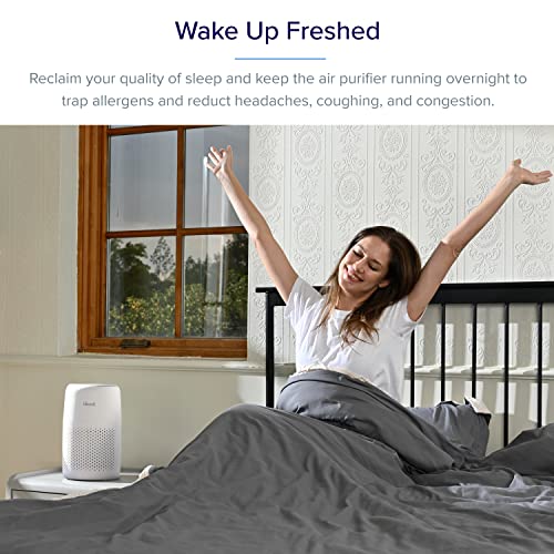 LEVOIT Air Purifiers for Home Large Room, Grey & Air Purifiers for Bedroom Home, HEPA Filter Cleaner, White | The Storepaperoomates Retail Market - Fast Affordable Shopping