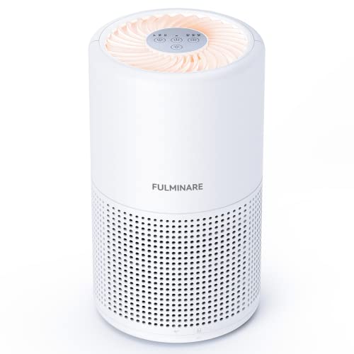 Air Purifiers for Bedroom, FULMINARE H13 Small Air Purifiers for Home Pets with HEPA Air Filter, Air Cleaner for Bedroom, Air Cleaner Filter Remove 99.97% Dust, Smoke, Pollen | The Storepaperoomates Retail Market - Fast Affordable Shopping