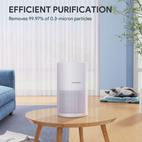 Air Purifiers for Bedroom, FULMINARE H13 Small Air Purifiers for Home Pets with HEPA Air Filter, Air Cleaner for Bedroom, Air Cleaner Filter Remove 99.97% Dust, Smoke, Pollen | The Storepaperoomates Retail Market - Fast Affordable Shopping