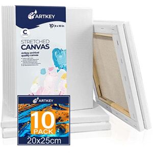 Artkey Canvases for Painting – 8 x 10 Inch, 10 Pack Canvases – 10 oz Triple Primed, Acid-Free, 100% Cotton Blank Canvas – Art Canvases for Oil Paint Acrylics