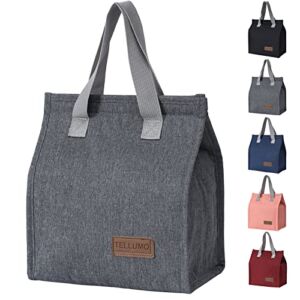 Lunch bag, Tellumo Insulated Lunch Bag for Women Men Large Lunch Box Container Reusable Leakproof Tote for Office, Work, School, Beach or Travel (Minimalist Grey)