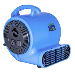 EZ-FLO Windstorm 1/2 HP Air Mover for Water Damage Restoration Carpet Dryer, Blue