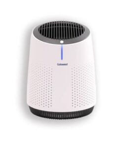 Galaseed H13 True HEPA Air Purifier | 300 sq ft Coverage | 3-Stage Air Filtration System | Removes 99.97% PM2.5 Particles | Powered by USB | Ideal for Bedroom, Living Room, Kitchen and Office