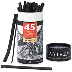 ARTEZA Willow Charcoal Sticks, Set of 45, Assorted Sketching Charcoal — Thin 3-6 mm, Medium 6-8 mm, and Thick 10 mm, Art Supplies for Professionals, Students, and Hobbyists