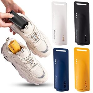 Dsisskai 1 pcs Shoe Deodorizer Insert, Reuasble Shoes Desiccant Deodorant Smell Remover, Closet Moisture Absorber Supplies,