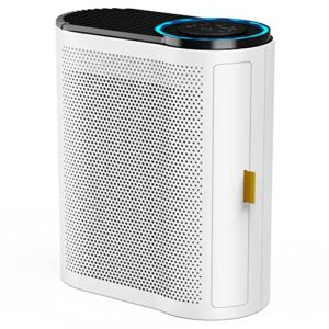 AROEVE Air Purifiers for Large Room Up to 1095 Sq Ft Coverage with Air Quality Sensors CADR up to 300+ H13 Ture HEPA Filter with Auto Function Ultra-Quiet Sleep Mode Air Cleaner Remove 99.97% of Dust, Pet Dander, Smoke, Pollen for Home, Bedroom and Office