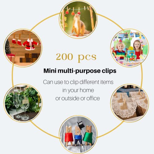 Mini Clothes Pins for Photo, Small Clothespins 200 pcs 1″ Natural Wooden Mini Clothes Pins with Jute Twine, Mini Photo Clips Small Clothes Pins for Photos, Crafts, Arts, Cocktails | The Storepaperoomates Retail Market - Fast Affordable Shopping