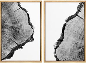 SIGNWIN Framed Wall Art Print Set Black & White Close Up Tree Ring Details Nature Wilderness Photography Modern Art Rustic Relax/Calm Multicolor for Living Room, Bedroom, Office – 24″x36″x2 Natural