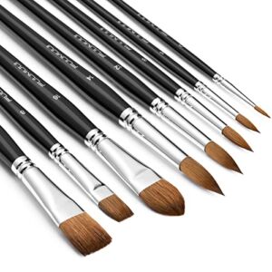 Sable Watercolor Brushes Professional, Fuumuui 8Pcs Kolinsky Sable Brush Set Variety Shapes with Flat, Round Pointed, Cat’s Tongue Oval Wash Perfect for Watercolor Acrylic Gouache Inks Painting