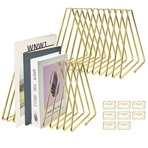 2Pcs Scalable Triangle 11 Slot Magazine Holder, FLMOUTN Versatile Metallic Desktop File Folder Racks with 8Pcs Paper Clips, Newspapers Holder Stand for Office Home Photography Prop