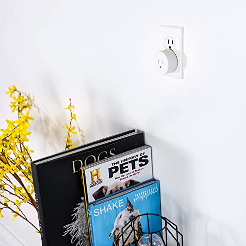 INSTACHEW PureConnect Heavy Duty App-Controlled Smart Plug with Timer Setting with Amazon Alexa Compatibility for Pet Products | The Storepaperoomates Retail Market - Fast Affordable Shopping