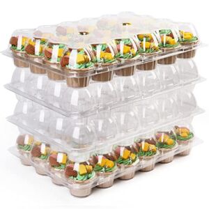 LotFancy 24 Count Cupcake Containers, Set of 10, Plastic Cupcake Boxes Bulk, Cupcake Holder with Detachable Lid, Disposable Muffin Carrier
