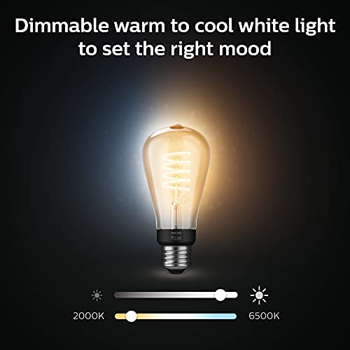 Philips Hue White Ambiance Dimmable Smart Filament ST19, Warm-White to Cool-White LED Vintage Edison Bulb, Bluetooth & Hub Compatible (Hue Hub Optional), Voice Activated with Alexa, 2-Pack, (R2563585) | The Storepaperoomates Retail Market - Fast Affordable Shopping