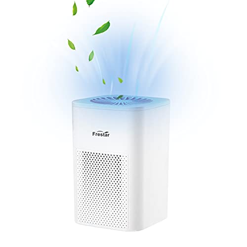 Desktop Air Purifier Small USB Air Purifiers with HEPA Filter for Office Bedroom Bathroom, Effectively Removes Pollutants, Cigarette Smoke, Dust, Odor, Super Quiet Powered by USB No Adapter (White) | The Storepaperoomates Retail Market - Fast Affordable Shopping