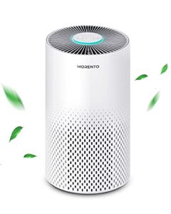 Air Purifiers for Home, Morento H13 HEPA filter Air Purifiers Air Cleaners for Smokers Pollen Dander Hair Smell 99.97% Effective, 22db Air Purifier for Bedroom with 7 Color Night Light, KILO, White
