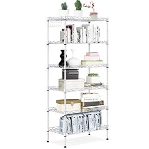 Shelving Storage Unit ,6-Shelf Heavy Duty Metal Organizer Wire Rack with Leveling Feet , Stainless Side Hooks for Bathroom Kitchen Garage 750Lbs Capacity (Silver)