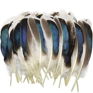 LUORNG 150PCS Duck Feathers, Natural Feathers for DIY Craft Art, Decor Feathers for Carnival Halloween Handwork Clothing Costumes Hair Hats Crafts Home Wedding Party Decoration