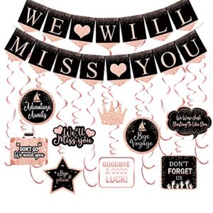 Rose Gold Farewell Party Decorations Supplies Kit, Will Miss You Banner, We Will Miss You Decorations, Going Away Party Hanging Swirls Decorations