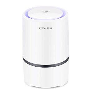 RIGOGLIOSO Air Purifier for Home with True HEPA Filters,Low Noise Portable Air Purifiers with Night Light,Desktop USB Air Cleaner