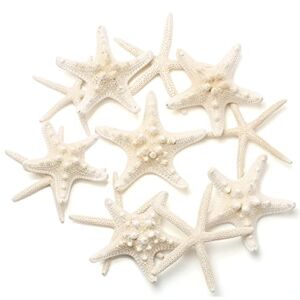Maicodes 12 PCS Starfish | 2.5-6 Inch Starfish Decor | Natural Bulk Starfish Shells Perfect for Crafts Making Beach Theme Party Wedding Decoration, Home Wall Decor, Christmas Ornaments, Fish Tank