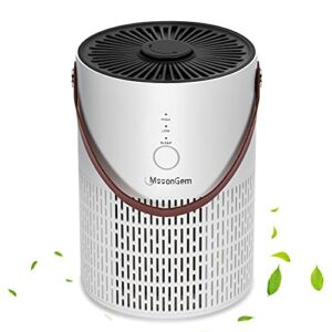 HEPA Air Purifier,MooonGem Air Filter for Home with Fragrance Sponge Pollen Pet Hair Dander Smoke Dust Airborne Contaminants Odors Eliminator Home Air Cleaner with Filter Night Light