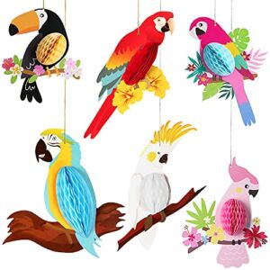 Big, Tropical Birds Honeycomb Cutouts – Pack of 6, Luau Party Decorations | Rainforest Decorations | Paper Birds Decorations, Hawaiian Party Decorations | Bird Party Decorations, Jungle Decorations