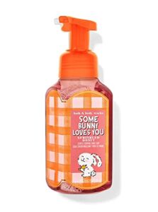 Bath and Body Works Sprinkled Donut Gentle Foaming Hand Soap, 2-Pack 8.75 Ounce (Sprinkled Donut)