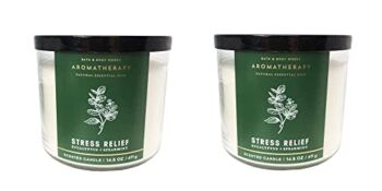 Bath and Body Works Aromatherapy 3 Wick Candle, 14.5 Oz, Eucalyptus Spearmint (2 Pack) | The Storepaperoomates Retail Market - Fast Affordable Shopping