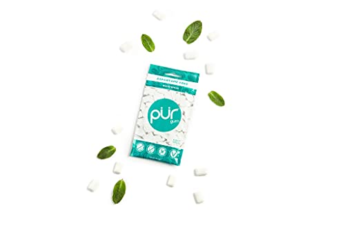 PUR Gum Sugar Free Chewing Gum with Xylitol, Aspartame Free + Gluten Free, Vegan & Keto Friendly – Natural Wintergreen Flavored Gum, 55 Pieces (Pack of 1) | The Storepaperoomates Retail Market - Fast Affordable Shopping