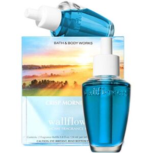 Bath and Body Works New Look! Crisp Morning AIR Wallflowers 2-Pack Refills