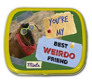 You’re My Best Weirdo Friend Mints – Funny goat design mint tin – Novelty candy for friends – Wintergreen breath mints, sugar-free