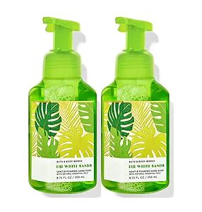 Bath and Body Works Fiji White Sands Gentle Foaming Hand Soap, 2-Pack 8.75 Ounce (Fiji White Sands)