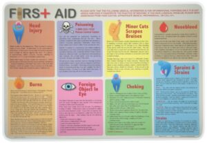Painless Learning First Aid Placemat