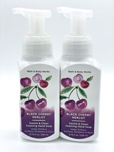 Bath and Body Works Gentle & Clean Foaming Hand Soap, 8.75 fl. oz. (Black Cherry Merlot, 2-Pack)