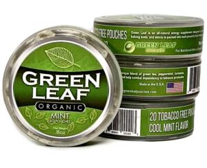 Green Leaf Organic – Tobacco Free Chew Pouches Cool Mint Flavor – Includes Turmeric Root Powder & Baking Soda – Tobacco Free Chew Pouches Made in The USA – 3 Packs of 20 Nicotine Free Dip Pouches