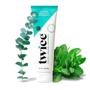 Twice Vegan Toothpaste for Sensitive Teeth and Gums and Teeth Whitening Toothpaste – SLS Free Toothpaste with Fluoride and Cavity Protection – (Cooling Spearmint Eucalyptus)